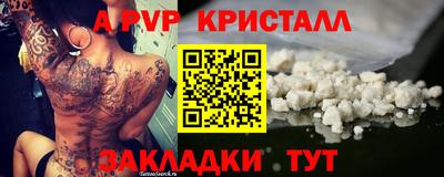 ПСИЛОЦИБИНОВЫЕ ГРИБЫ Камышлов